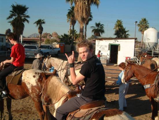 deryckdonkey.jpg